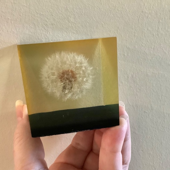 Mid Century Dandelion Flower Lucite Cube Paperweight by Gumps USA 1960s - Picture 6 of 10